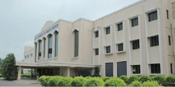 Apollo Institute Of Physiotherapy College